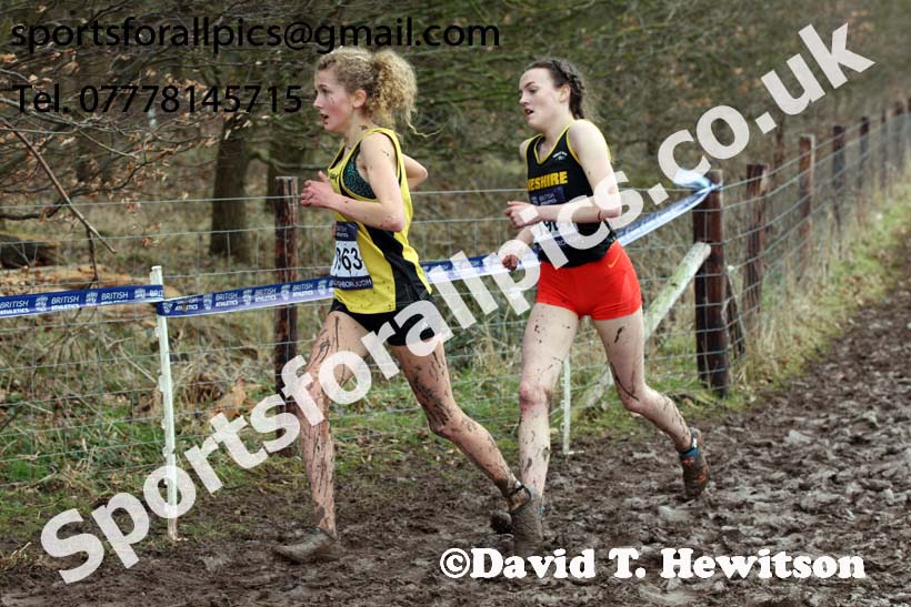 Womens under-17s 2018 British Inter Counties Cross Country Champs., Prestwold Hall, Loughborough. Photo: David T. Hewitson/Sports for All Pics